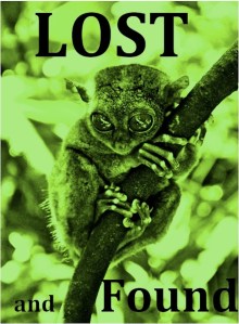 Lost and Found Cover Kindle Select